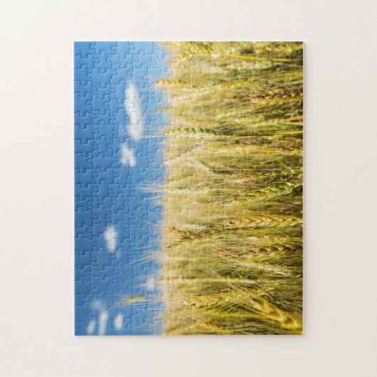 Kansas-Weizen Puzzle (Vertikal)