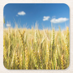 Kansas-Weizen Rechteckiger Pappuntersetzer