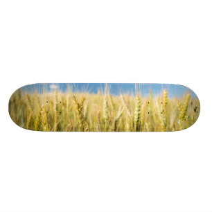 Kansas-Weizen Skateboard