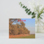 Kansas Weizenfeld mit Bäumen Post Card Postkarte (Stehend Vorderseite)
