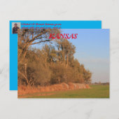 Kansas Weizenfeld mit Bäumen Post Card Postkarte (Vorne/Hinten)