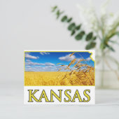 Kansas Wheat Field Postkarte (Stehend Vorderseite)