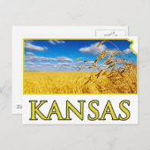 Kansas Wheat Field Postkarte (Vorne/Hinten)