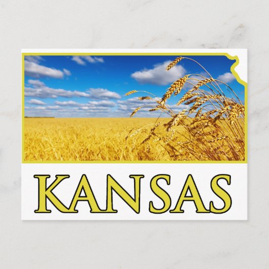 Kansas Wheat Field Postkarte (Vorderseite)