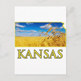 Kansas Wheat Field Postkarte