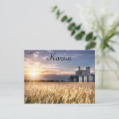 Kansas Wheat Field Postkarte (Stehend Vorderseite)