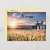 Kansas Wheat Field Postkarte (Vorne/Hinten)