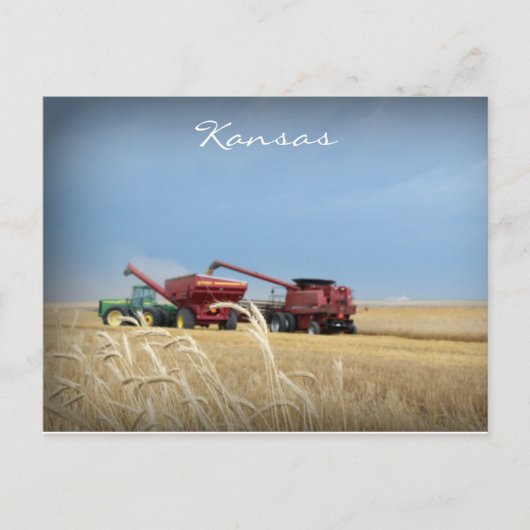 Kansas Wheat Harvest Postcard Postkarte (Vorderseite)