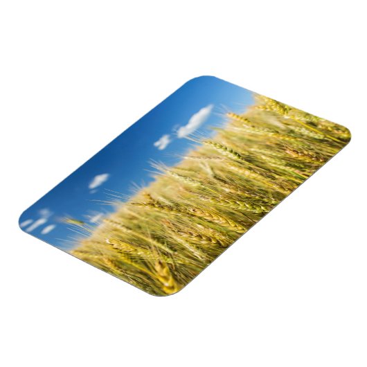 Kansas Wheat Magnet (Linke Seite)