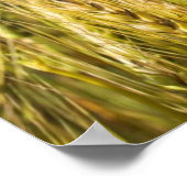 Kansas Wheat Poster (Ecke)