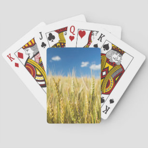 Kansas Wheat Spielkarten