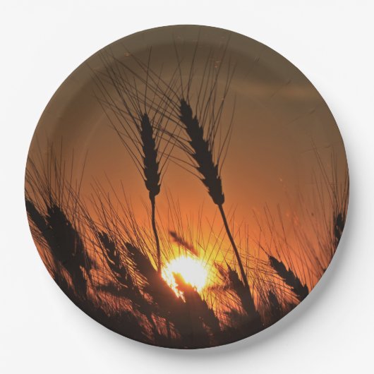 Kansas Wheat Sunset Silhouette geschlossen Pappteller (Vorderseite)