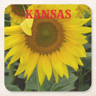 Kansas Yellow Sunflower Square Untersetzer