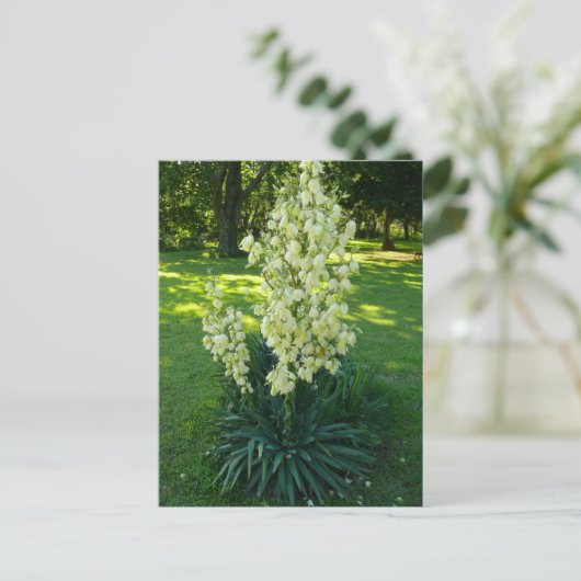 Kansas Yucca Postkarte (Stehend Vorderseite)