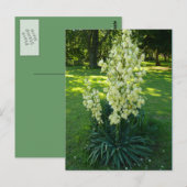 Kansas Yucca Postkarte (Vorne/Hinten)