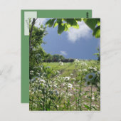 Kansaswiesen und -Wildblumen Postkarte (Vorne/Hinten)