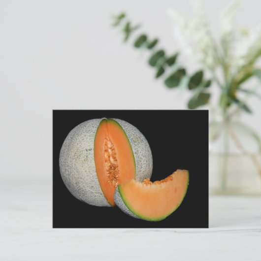 Kantalupe Melon Postkarte (Stehend Vorderseite)
