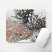 Kante Bryce Schlucht Mousepad (Mit Mouse)