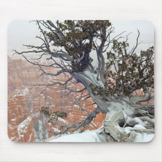 Kante Bryce Schlucht Mousepad (Vorne)