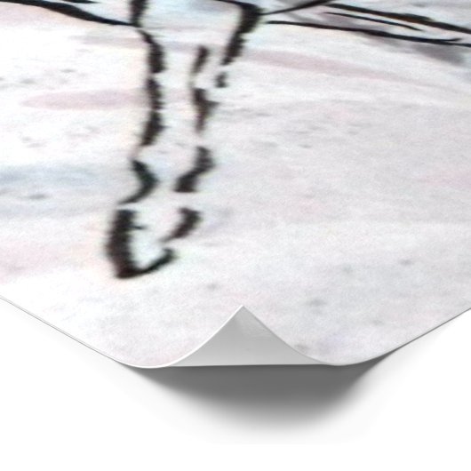 Kantenpferd in Stift und Tinte auf Marmorpapier Poster (Ecke)