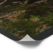 Kanufahren auf einem Adirondack Mountain Stream Poster (Ecke)