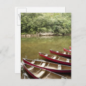 Kanufahrt auf dem Macal River, Belize Postkarte (Vorne/Hinten)