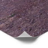 Kanus am Strand Poster (Ecke)