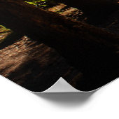 Kanus im Bereitschaftszustand Poster (Ecke)