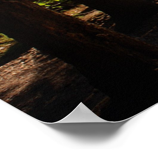 Kanus im Bereitschaftszustand Poster (Ecke)