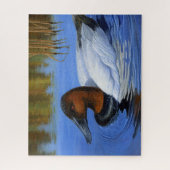 Kanvasback Duck Baden, Schilf, Acrylmalerei Puzzle (Vertikal)