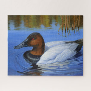 Kanvasback Duck Baden, Schilf, Acrylmalerei Puzzle