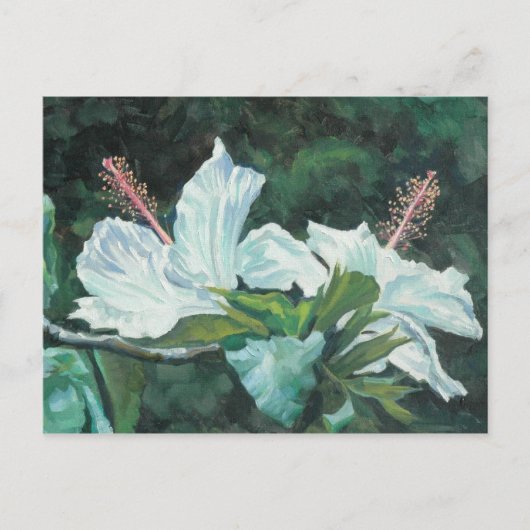 Kao Kao 5 Postkarte (Vorderseite)