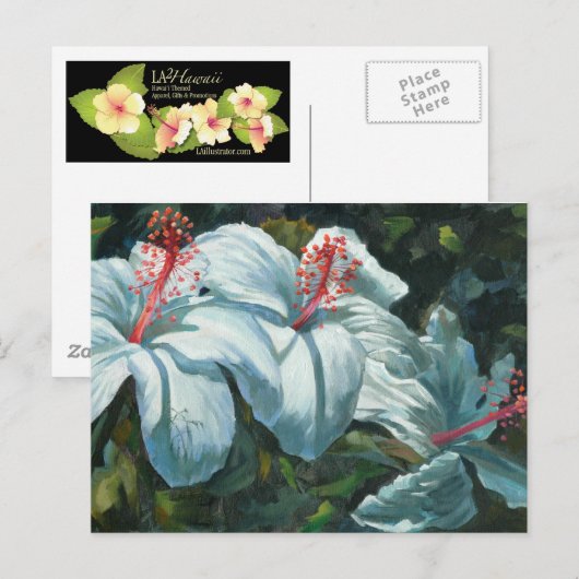 Kao Kao 6 Postkarte (Vorne/Hinten)