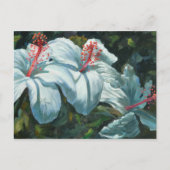 Kao Kao 6 Postkarte (Vorderseite)