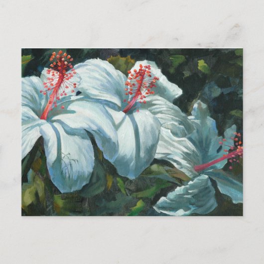 Kao Kao 6 Postkarte (Vorderseite)