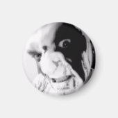 Kaos Anubis BLoody Face Good vs Evil Magnet (Vorne)