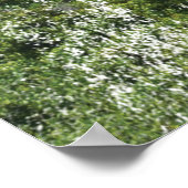 Kap Agulhas Leuchtturm 1849 Poster (Ecke)