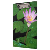 Kap Blauer Wasserlilie (Nymphaea Capensis) Klemmbrett (Links)