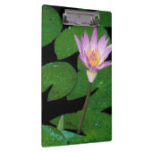 Kap Blauer Wasserlilie (Nymphaea Capensis) Klemmbrett (Rechts)