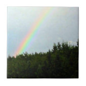 Kap-Bretone-Regenbogen Fliese (Vorderseite)