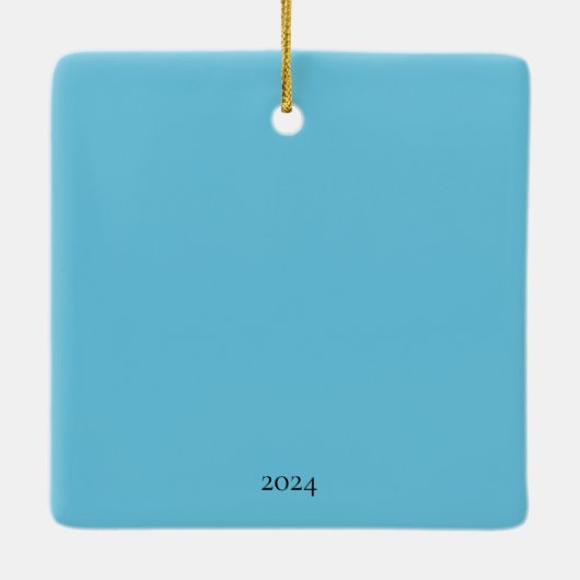 Kap Charles, VA Horseshoe Crab Sea Gull Strand Keramikornament (Rückseite)