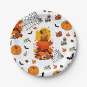 Kap Halloween. Hexenkürbis Pappteller (Vorderseite)