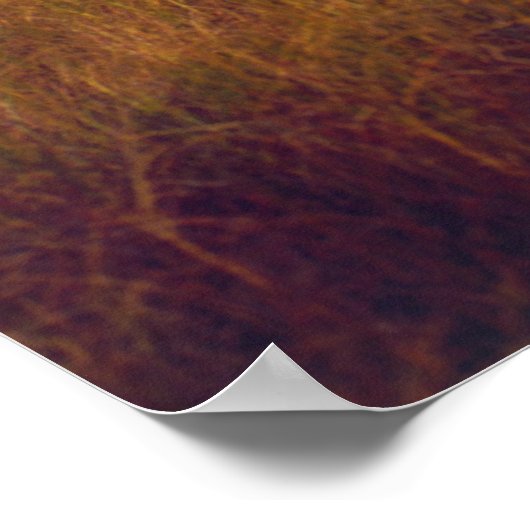 Kap Hatteras Leuchtturm, North Carolina Poster (Ecke)