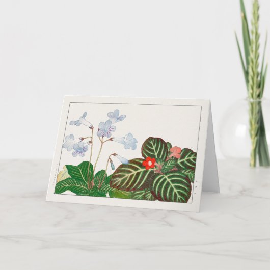 Kap Primrose, Flammenviolett von Tanigami Konan Karte (Vorderseite)