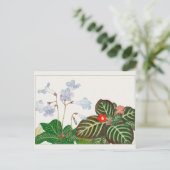 Kap Primrose, Flammenviolett von Tanigami Konan Postkarte (Stehend Vorderseite)