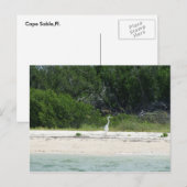 Kap Sable, Fl. Postkarte (Vorne/Hinten)