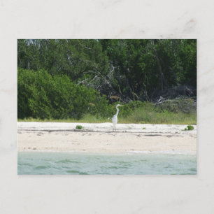 Kap Sable, Fl. Postkarte