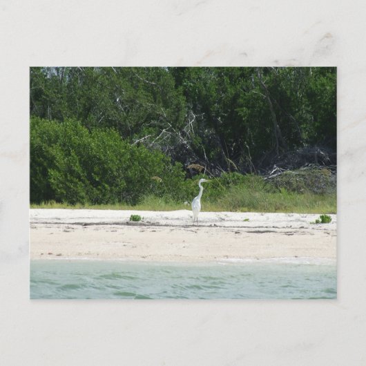 Kap Sable, Fl. Postkarte (Vorderseite)