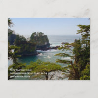 Kap-Schmeichelei-Postkarte