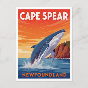 Kap-Spear-Neufundland-Sprung eines Wales Postkarte